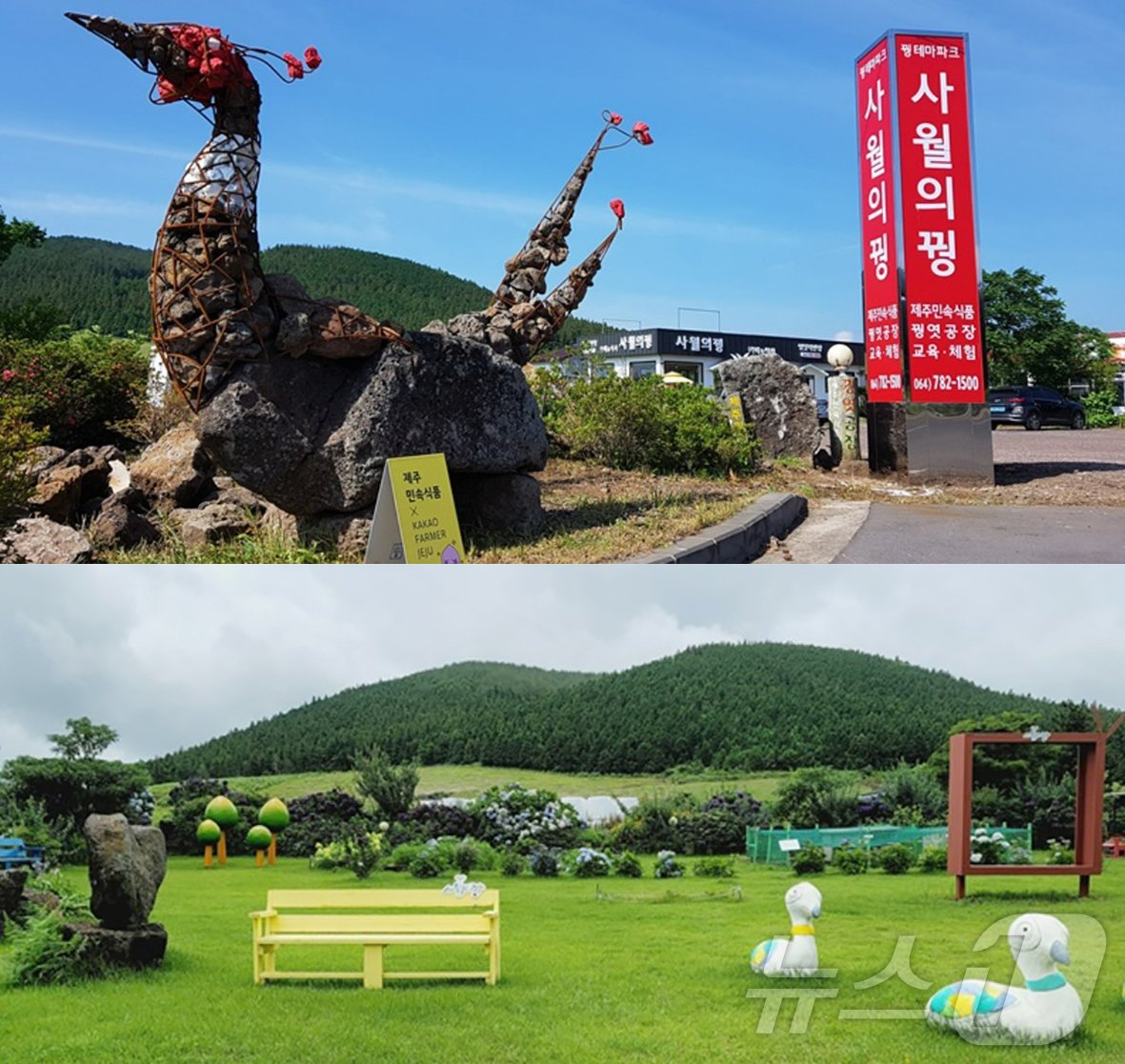 본문 이미지 - 제주민속식품 사업장에 있는 꿩엿 테마 교육·체험농장인 &#39;사월의 꿩&#39;.&#40;제주민속식품 홈페이지 갈무리&#41;