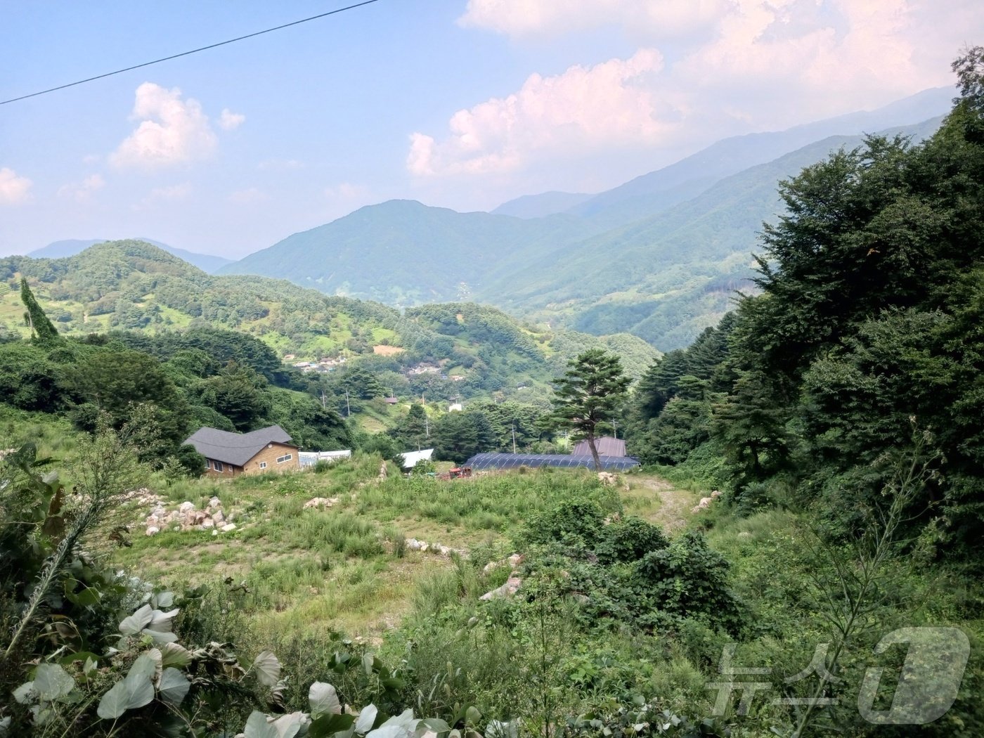 함양군 마천면 삼정리 음정마을이 모습을 드러냈다. 해발 500m 이상의 고지대에 위치하며 주민들은 고로쇠 수액, 산마물, 약초, 곶감 등의 특산품으로 소득을 올린다. 특히 고사리는 다른 작물보다  소득이 높아 논 밭에 경작을 많이 한다.  또 봄이면 많은 주민이 지리산 주변에서 채취에 나선다.