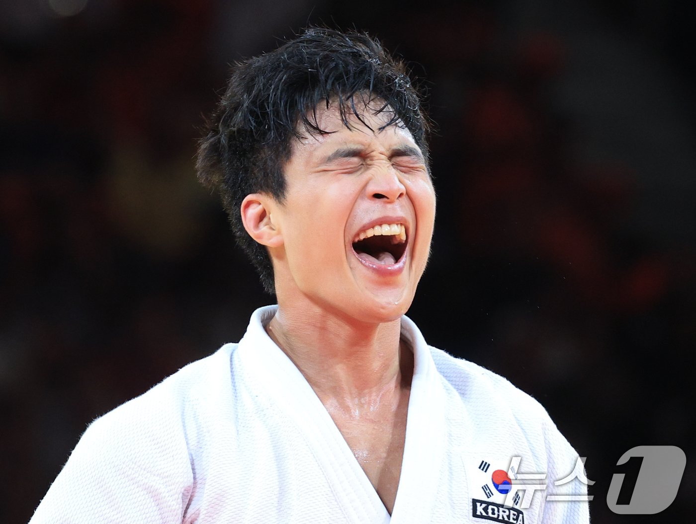 본문 이미지 - 남자 유도의 안바울./뉴스1 ⓒ News1 박정호 기자