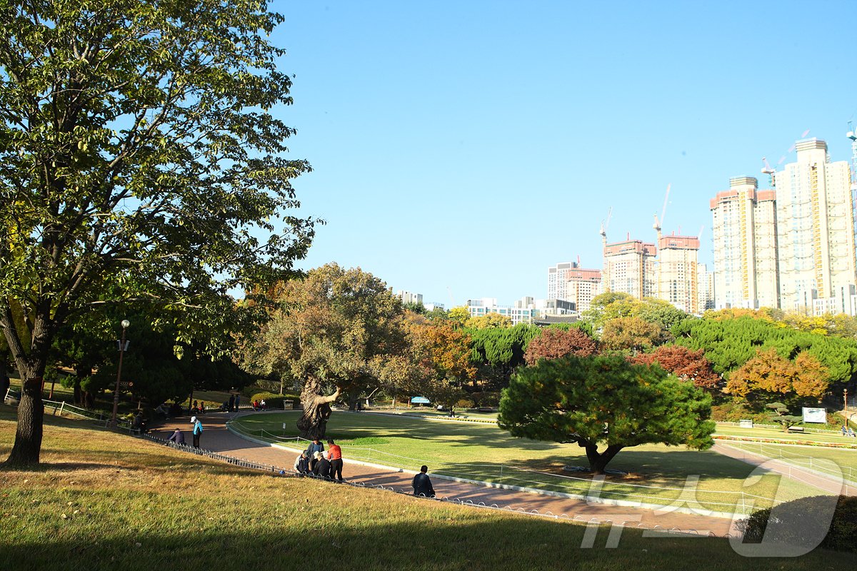 본문 이미지 - 달성공원 도시숲. (대구시 제공)/뉴스1