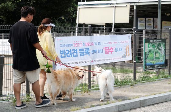 "댕댕이 믿고 맡기세요"…서울 '펫위탁소' 올해 17개 자치구로 확대