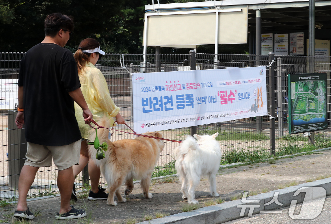 (서울=뉴스1) 박세연 기자 = 4일 서울 마포구 월드컵공원에서 한 반려인들이 반려견과 함께 산책을하고 있다.서울시는 시민들의 동물 등록을 강화하기 위해 5일부터 다음 달 30까지 …