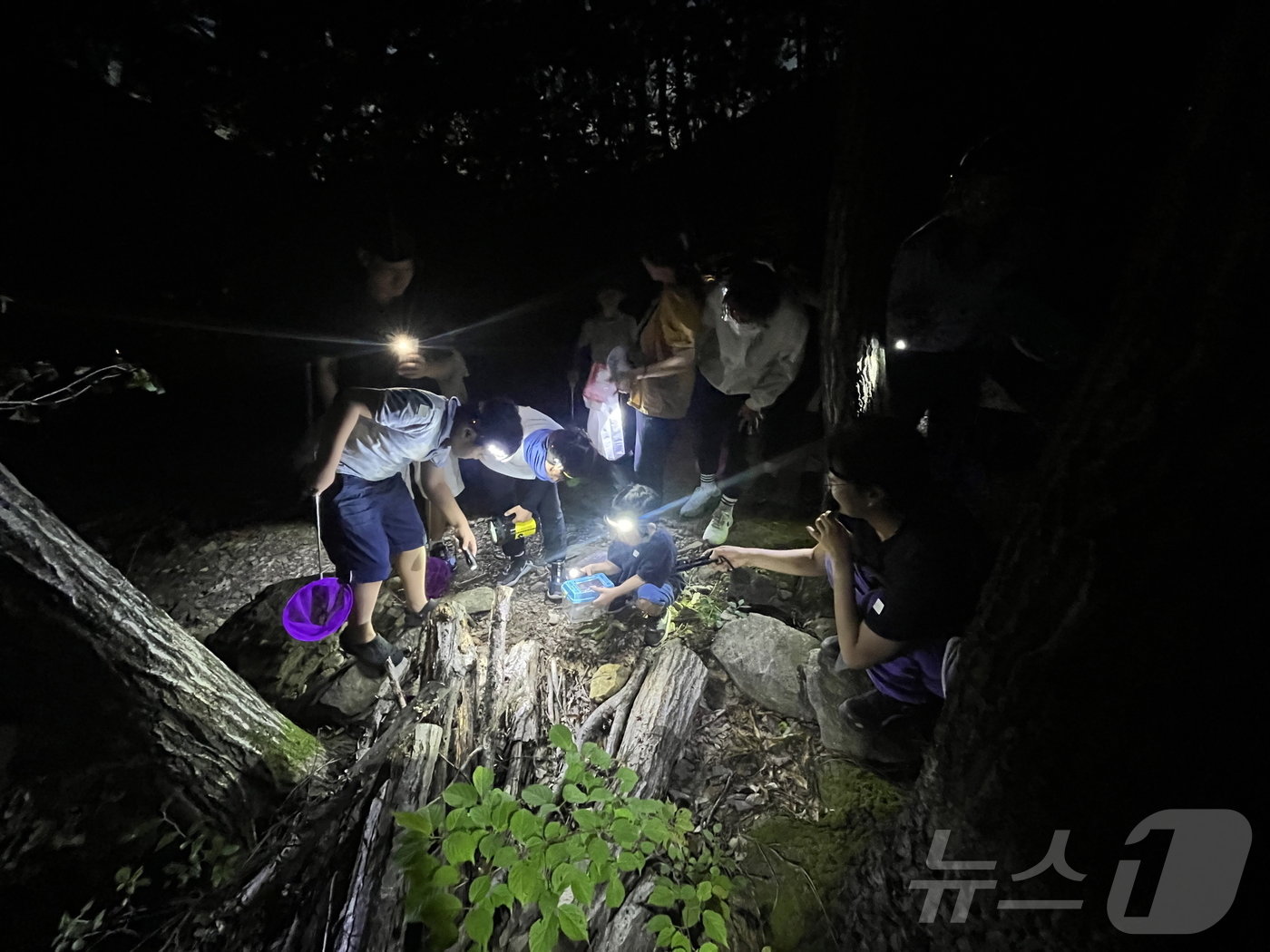  국립칠곡숲체원 ‘칠곡 칠색&#40;色&#41;-까만 숲, 까만 밤, 까만 친구들’ 운영 모습 &#40;산림청 한국산림복지진흥원 제공&#41;/뉴스1