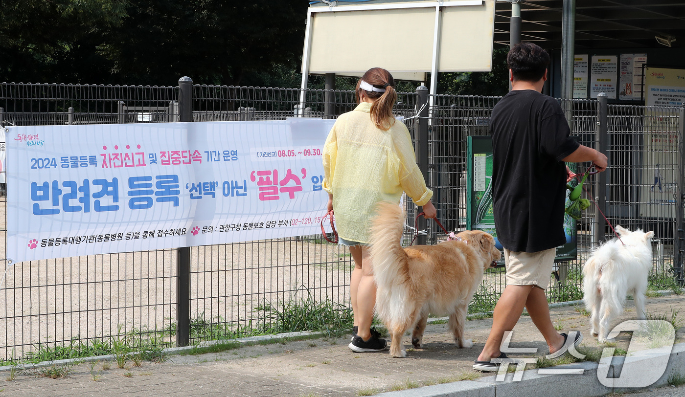 (서울=뉴스1) 박세연 기자 = 4일 서울 마포구 월드컵공원에서 한 반려인들이 반려견과 함께 산책을하고 있다.서울시는 시민들의 동물 등록을 강화하기 위해 5일부터 다음 달 30까지 …