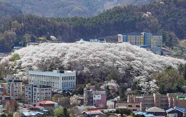 대전테미예술창작센터 제13기 입주예술가 라운드테이블 진행