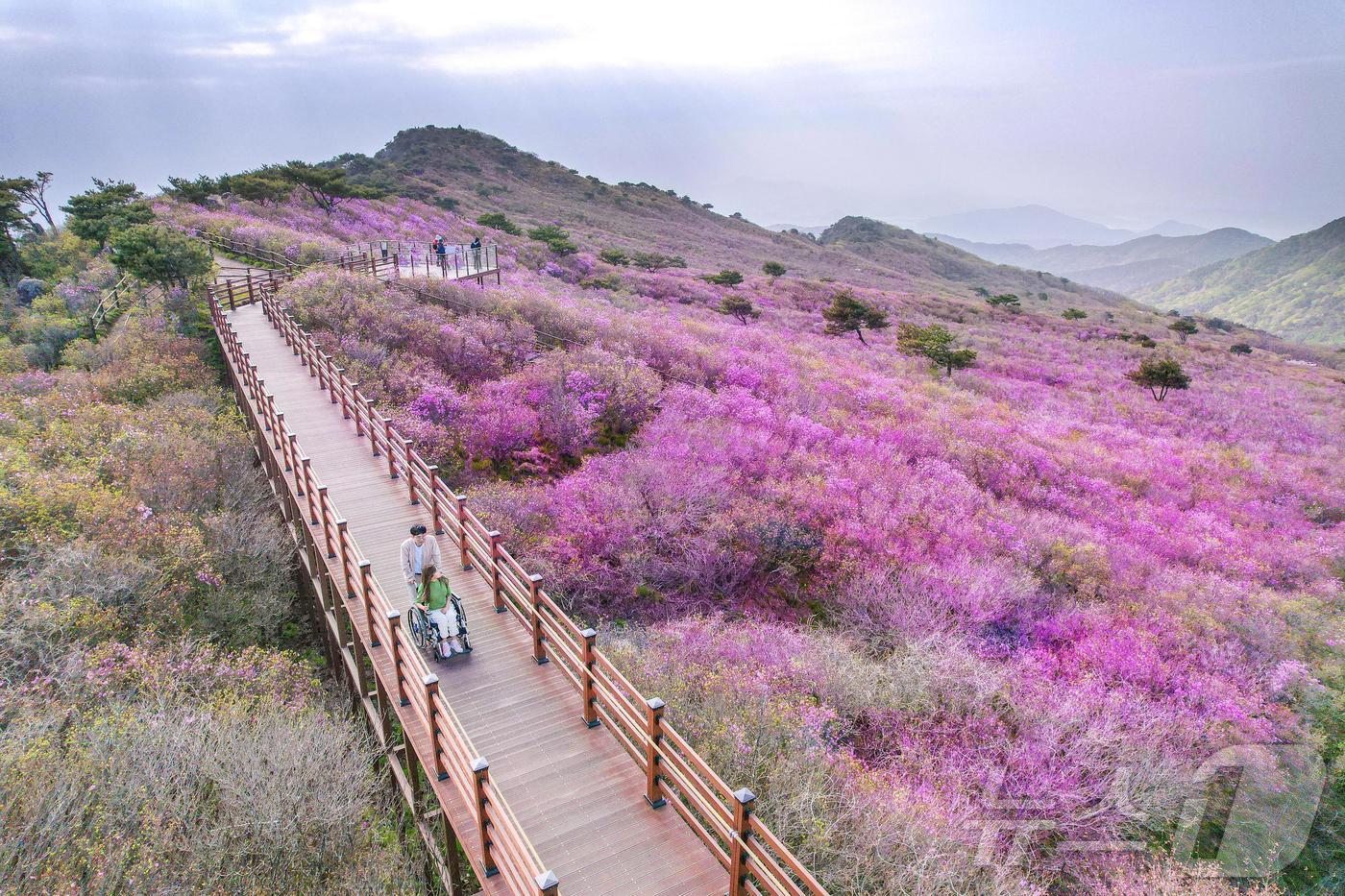 2021년 열린관광지 대구 비슬산 군립공원(문체부 제공)