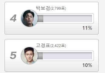 본문 이미지 - (디시인사이드 갈무리)