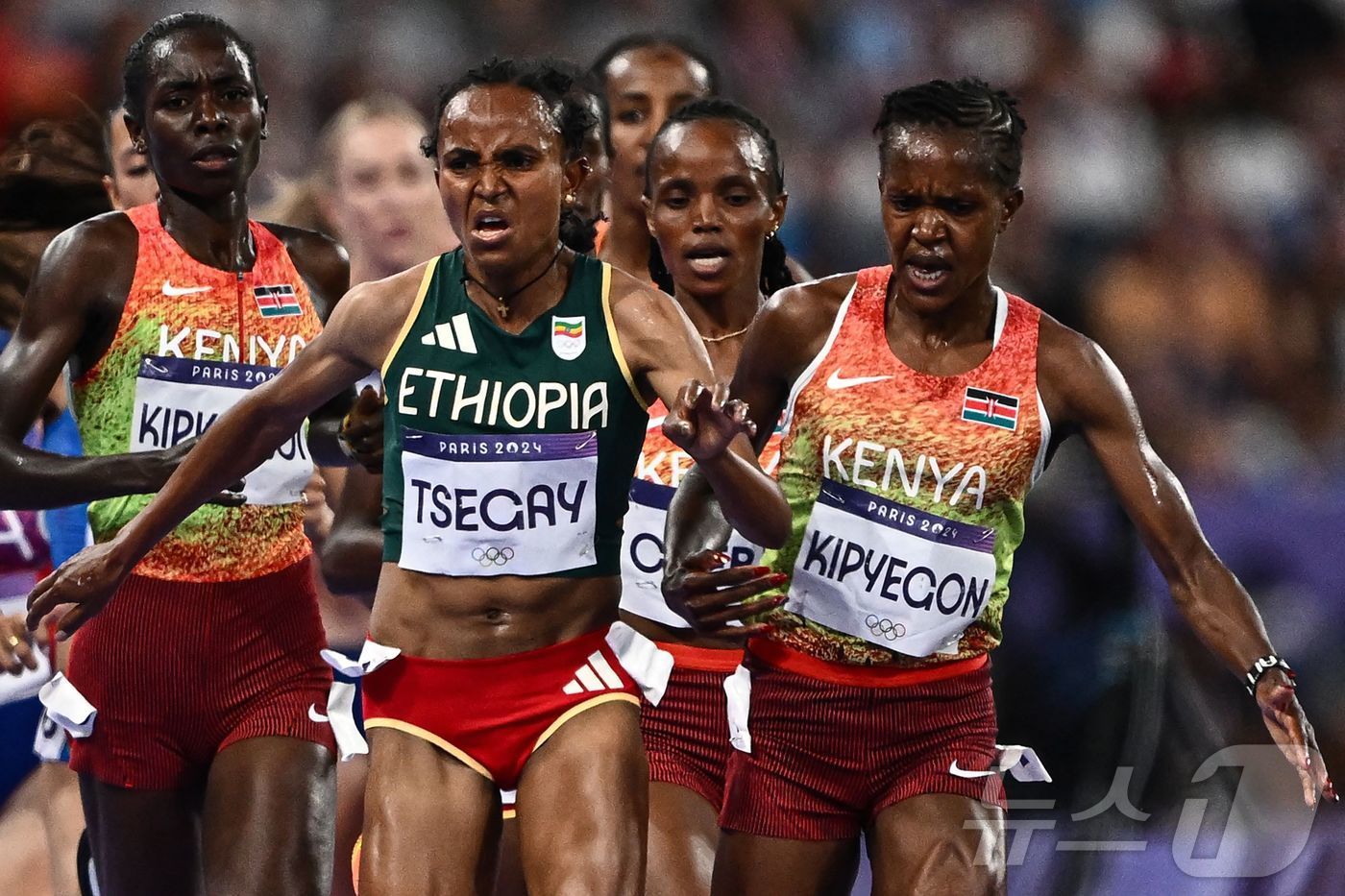 본문 이미지 - 케냐의 페이스 키피에곤과 에티오피아의 구다프 체가이가 2024년 8월6일 파리 스타드 드 프랑스에서 열린 파리 올림픽 여자 육상 5000m 결승전에서 경쟁하고 있다. ⓒ AFP=뉴스1 ⓒ News1 김지현 기자