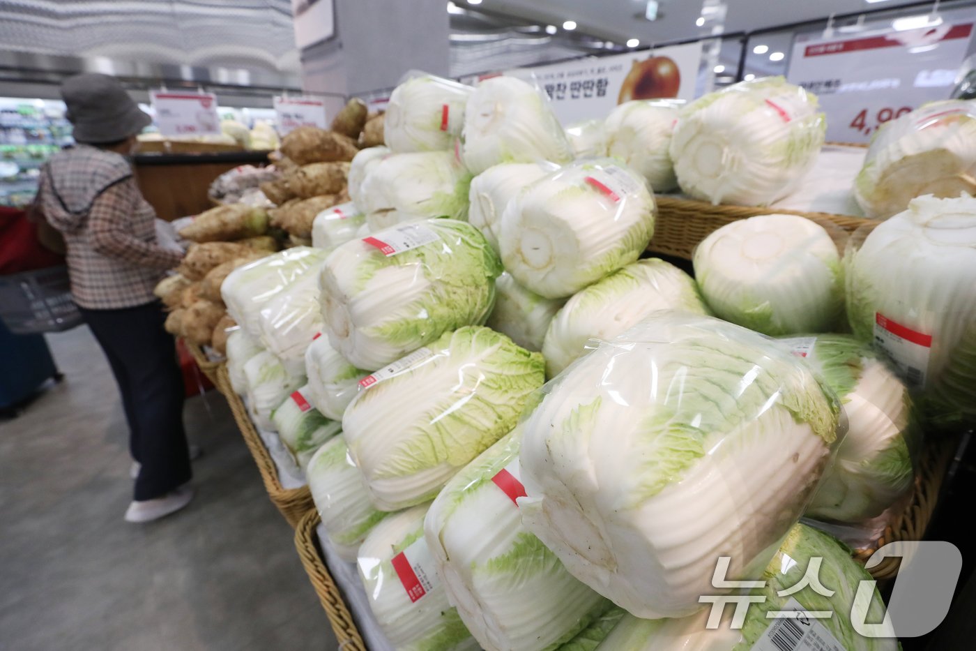 본문 이미지 -  6일 서울 시내의 한 대형마트에 배추가 진열돼 있다. 2024.8.6/뉴스1 ⓒ News1 이승배 기자