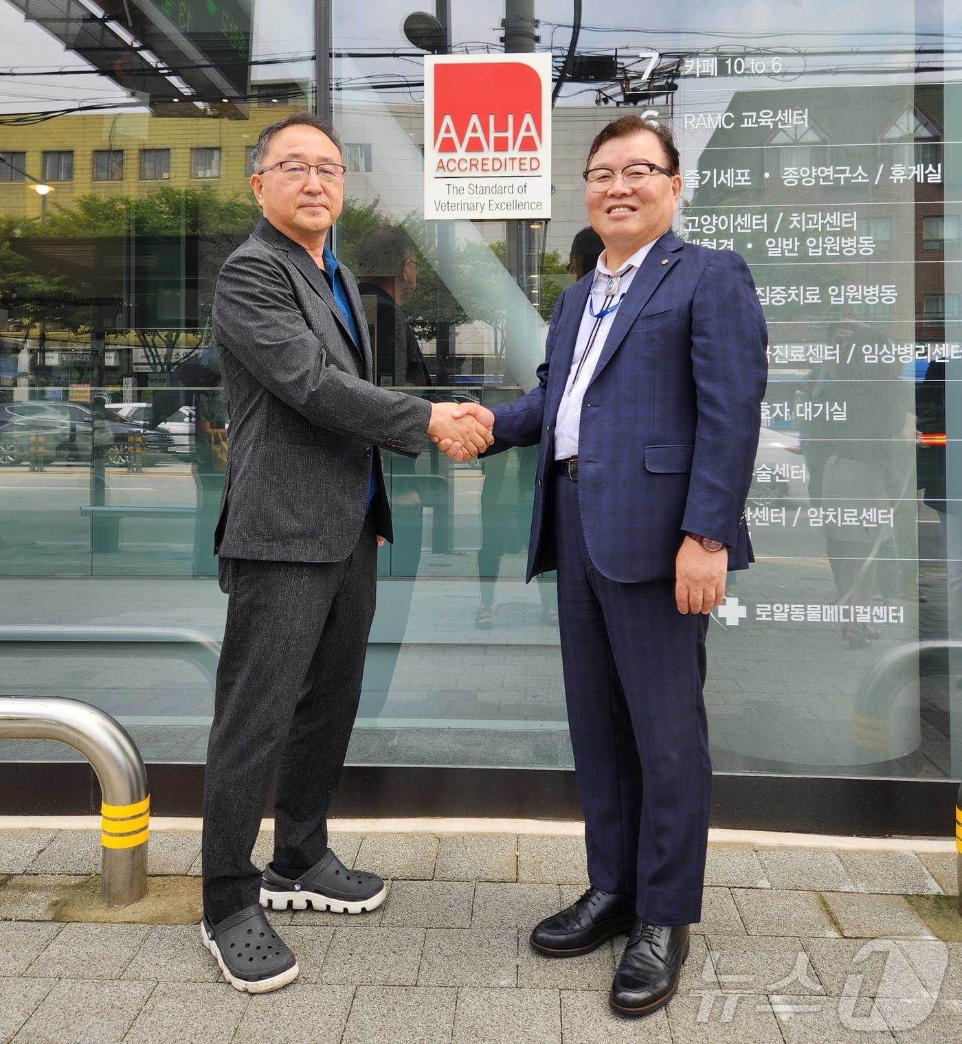 본문 이미지 - 정인성 로얄동물메디컬센터 대표원장과 허주형 대한수의사회 회장이 미국동물병원협회 인증 현판 앞에서 포즈를 취하고 있다. ⓒ 뉴스1 한송아 기자