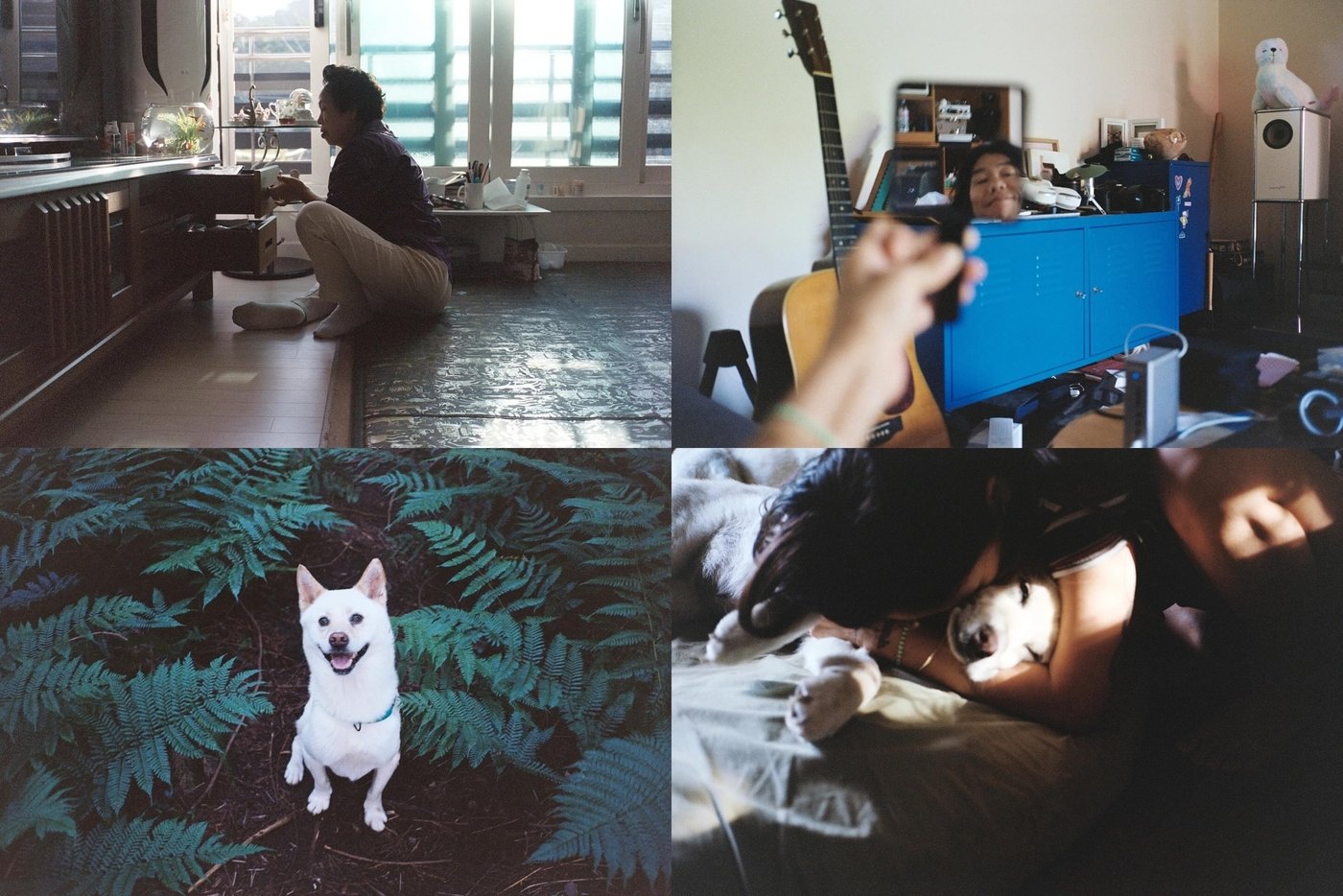 본문 이미지 - (이효리 인스타그램)