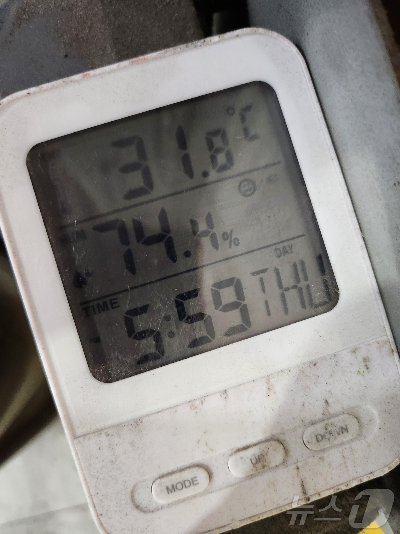 본문 이미지 - 7일 오전 9시30분 기준 서울 송파구 장지동 서울복합물류단지 내 기온이 31.8도, 습도는 74.4%를 가리키고 있다. 2024.8.7/=뉴스1 이정후 기자