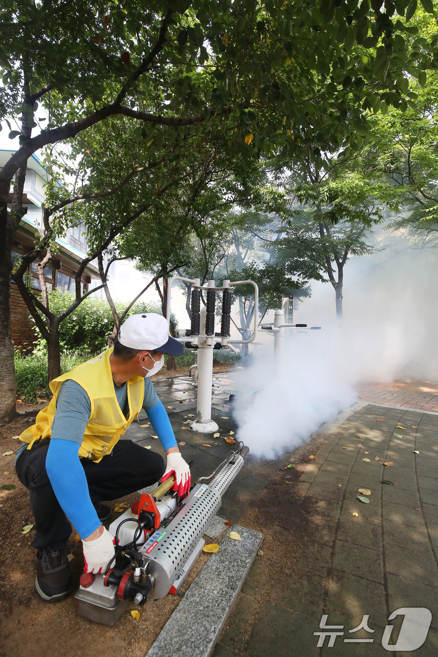 (대구=뉴스1) 공정식 기자 = 전국에 말라리아 경보가 발령된 가운데 8일 오전 대구 남구 무궁화어린이공원에서 남구청·남구보건소 합동방역반 관계자들이 각종 감염병 매개체인 모기 등 …