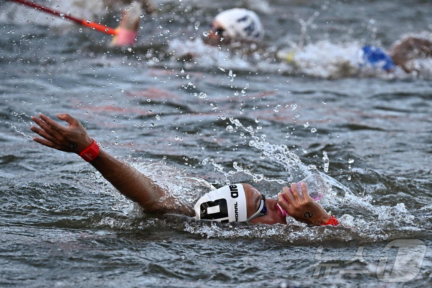 본문 이미지 - 센강에서 펼쳐진 마라톤 수영 경기. ⓒ AFP=뉴스1