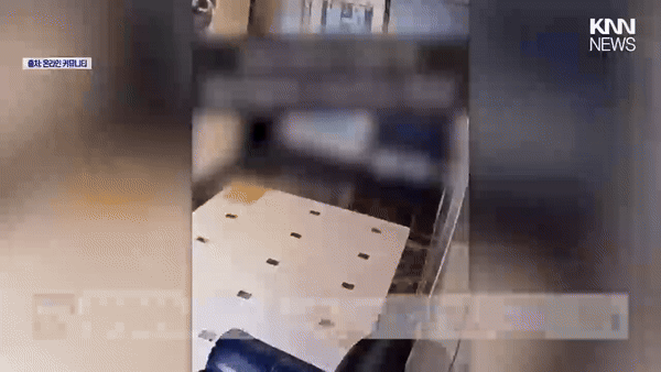 본문 이미지 - (KNN 뉴스)