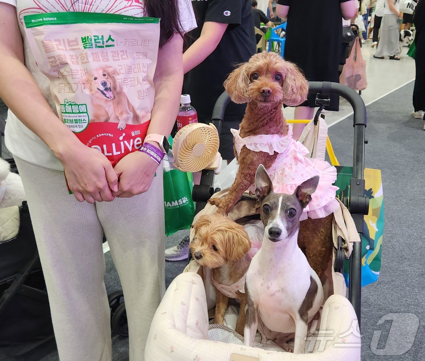본문 이미지 - 한국펫사료협회가 진행한 건강하고 안전한 펫푸드 이벤트에 참여한 관람객이 국내 사료 정품을 선물받고 기념 사진을 찍고 있다. ⓒ 뉴스1 한송아 기자