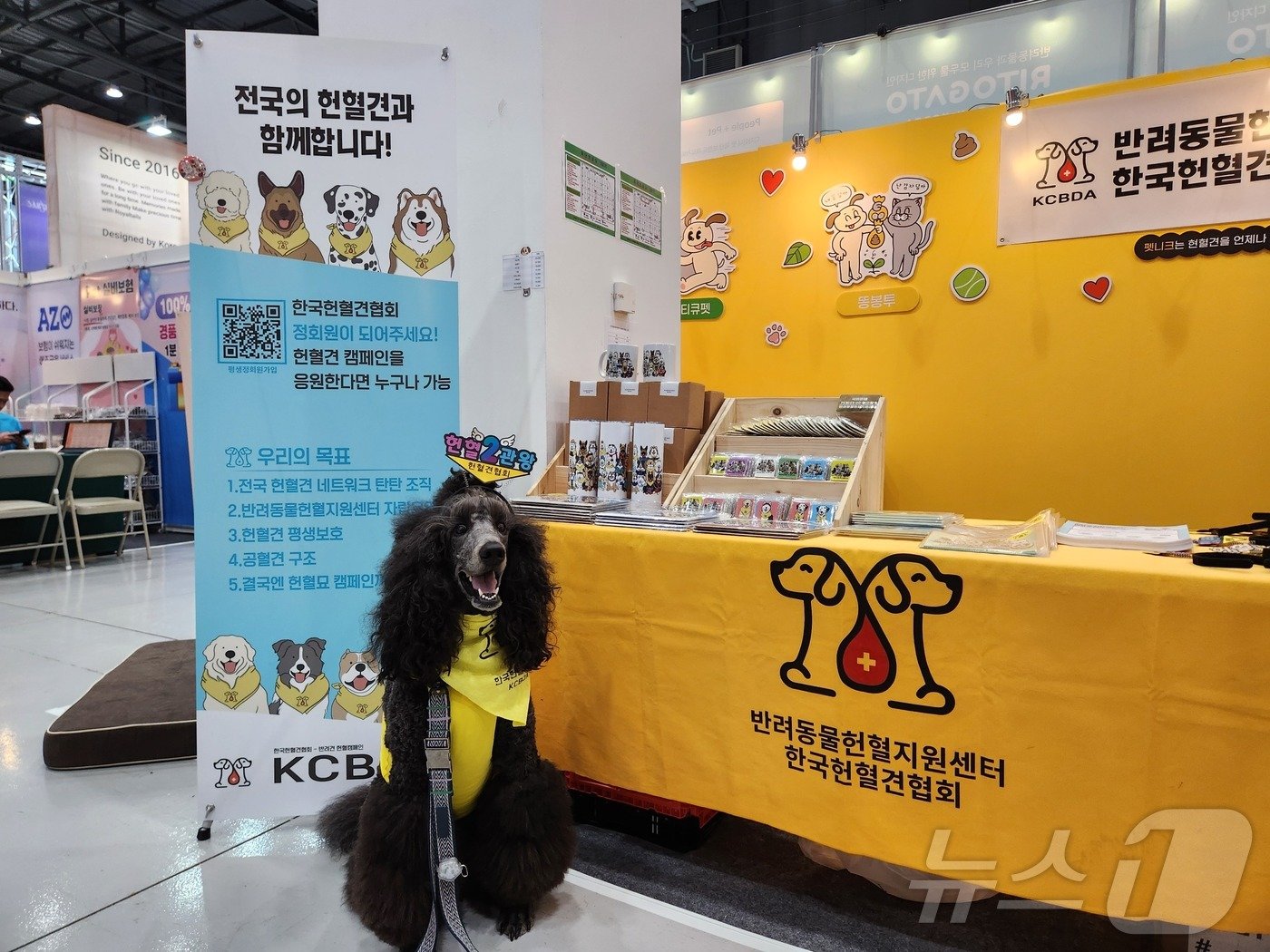 본문 이미지 - 한국헌혈견협회 부스에서 헌혈견 '방탄이'가 사진을 찍기 위해 포즈를 취하고 있다. ⓒ 뉴스1 한송아 기자