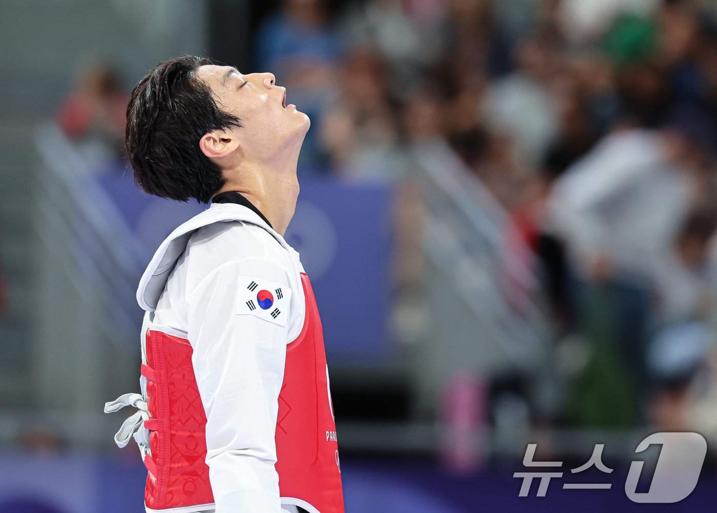 본문 이미지 - 대한민국 태권도 국가대표팀 서건우 선수가 9일 오후(한국시간) 프랑스 파리 그랑 팔레에서 진행된 2024 파리올림픽 태권도 남자 80kg급 16강 칠레의 호아킨 추르칠 선수와의 경기에서 비디오 리플레이 결과를 기다리고 있다. 2024.8.9/뉴스1 ⓒ News1 이동해 기자