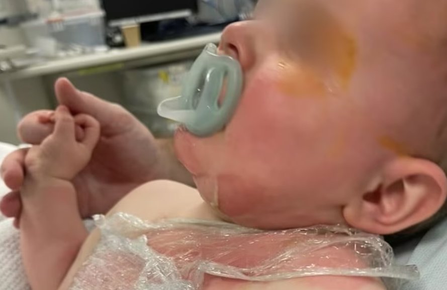 본문 이미지 - &#40;abc 뉴스 갈무리&#41;