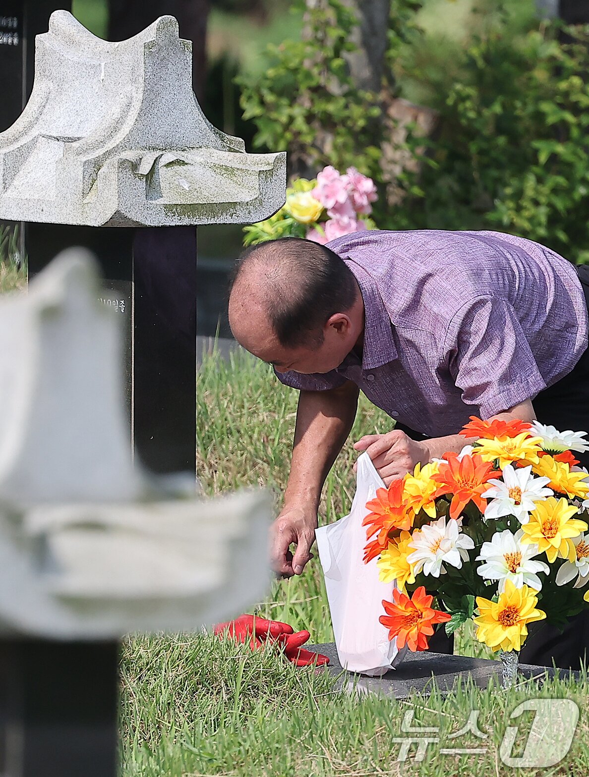 본문 이미지 - 추석 명절을 2주 가량 앞둔 1일 인천 부평구 인천가족공원을 찾은 한 성묘객이 벌초를 하고 있다. 2024.9.1/뉴스1 ⓒ News1 김진환 기자