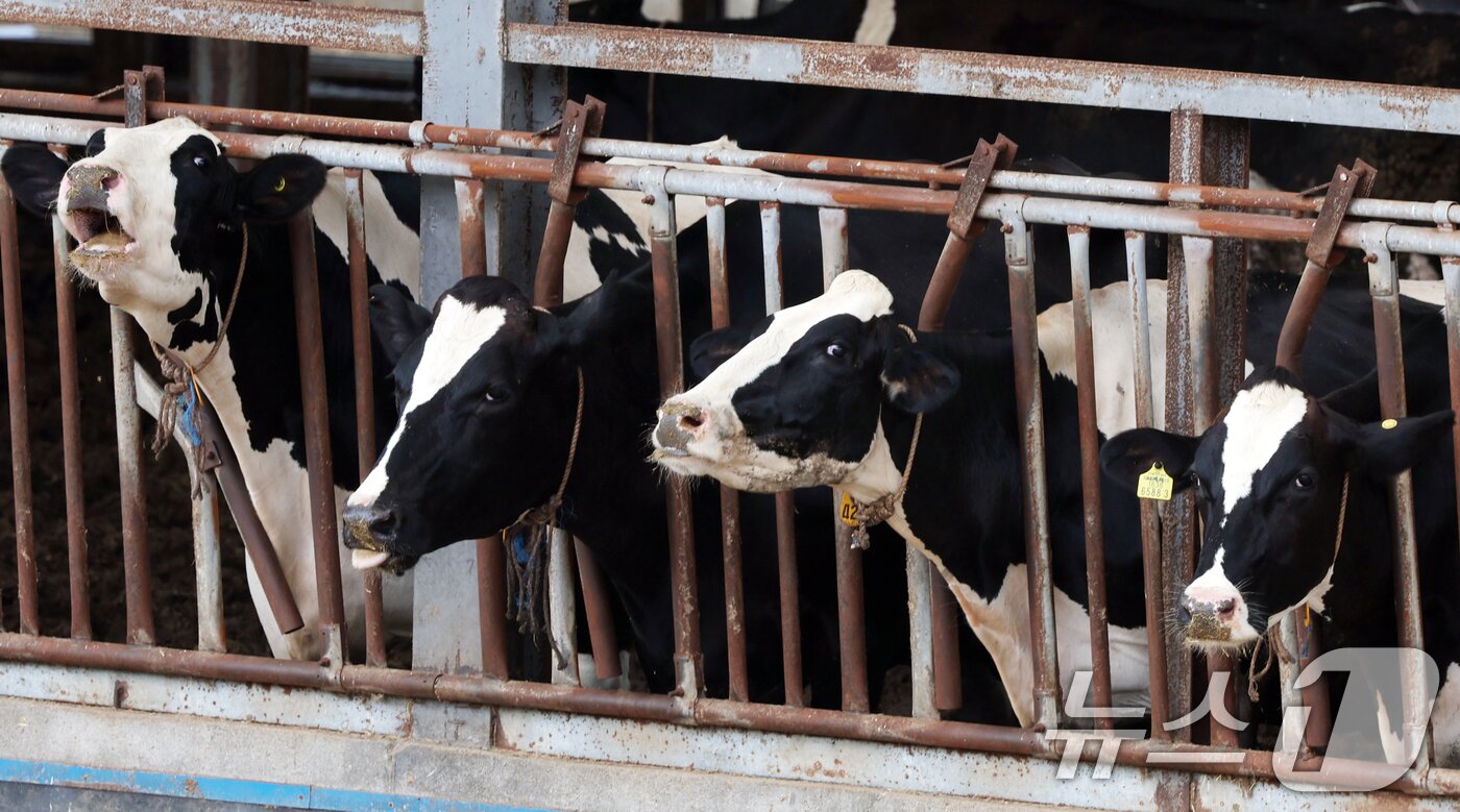 본문 이미지 - &#40;사진은 기사 내용과 무관함&#41; / 뉴스1 ⓒ News1 