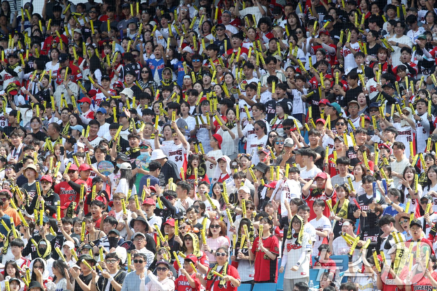 본문 이미지 - 1일 오후 대구 삼성라이온즈파크에서 열린 프로야구 '2024 신한 SOL 뱅크 KBO리그' KIA 타이거즈와 삼성 라이온즈의 경기를 찾은 야구팬들이 무더위도 잊은 채 열띤 응원전을 펼치고 있다. 2024.9.1/뉴스1 ⓒ News1 공정식 기자