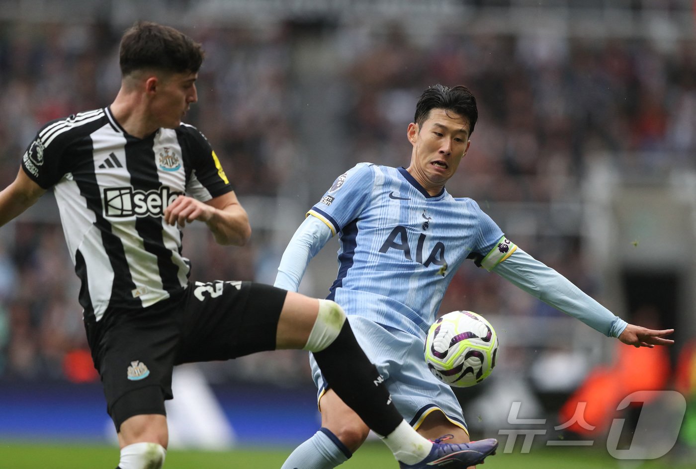 본문 이미지 - 뉴캐슬 수비진과 경합하는 손흥민(오른쪽) ⓒ 로이터=뉴스1
