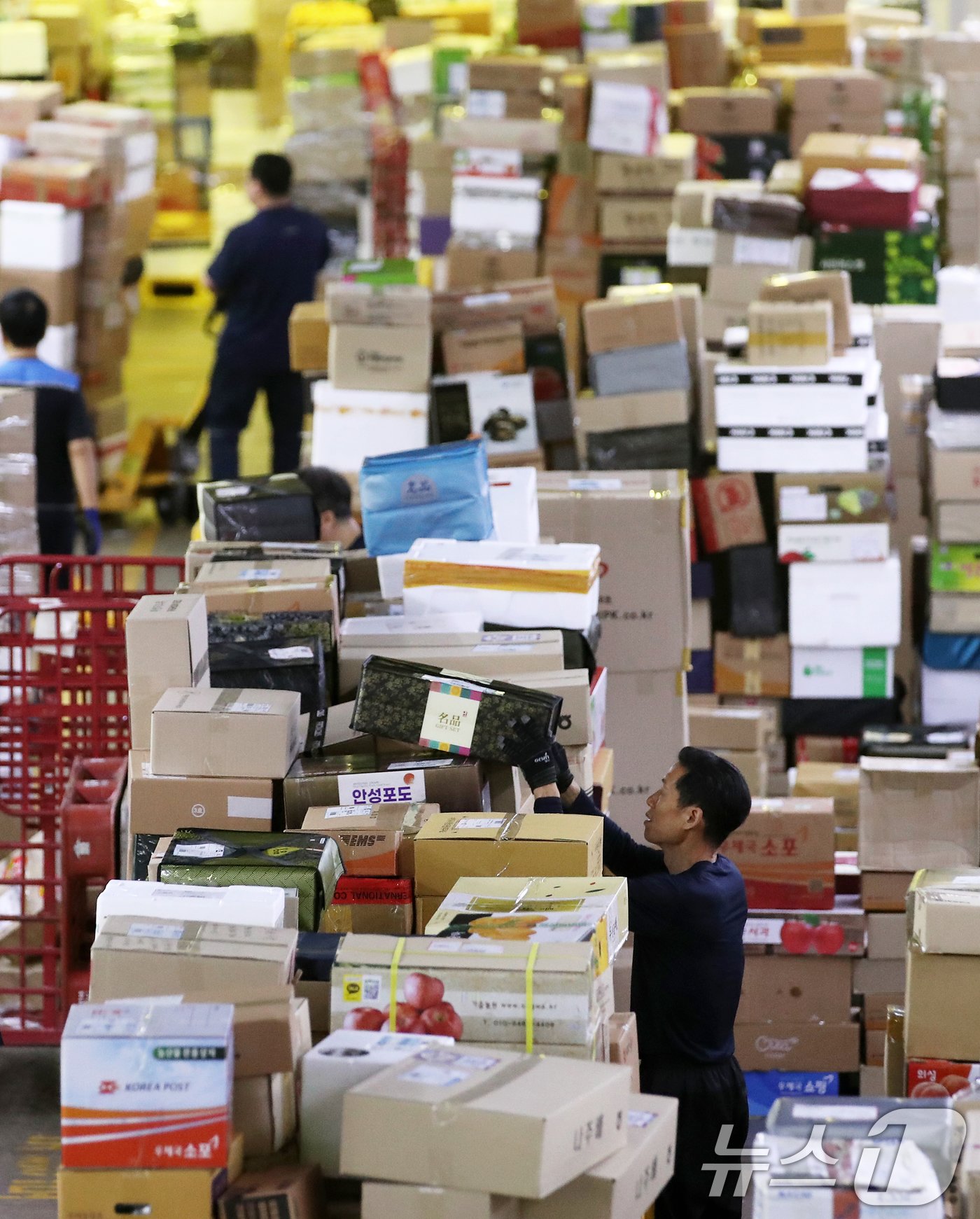 본문 이미지 - 추추석 명절을 앞둔 10일 오전 서울 광진구 동서울우편물류센터에서 직원들이 택배 분류 작업으로 구슬땀을 흘리고 있다. 2024.9.10/뉴스1 ⓒ News1 오대일 기자