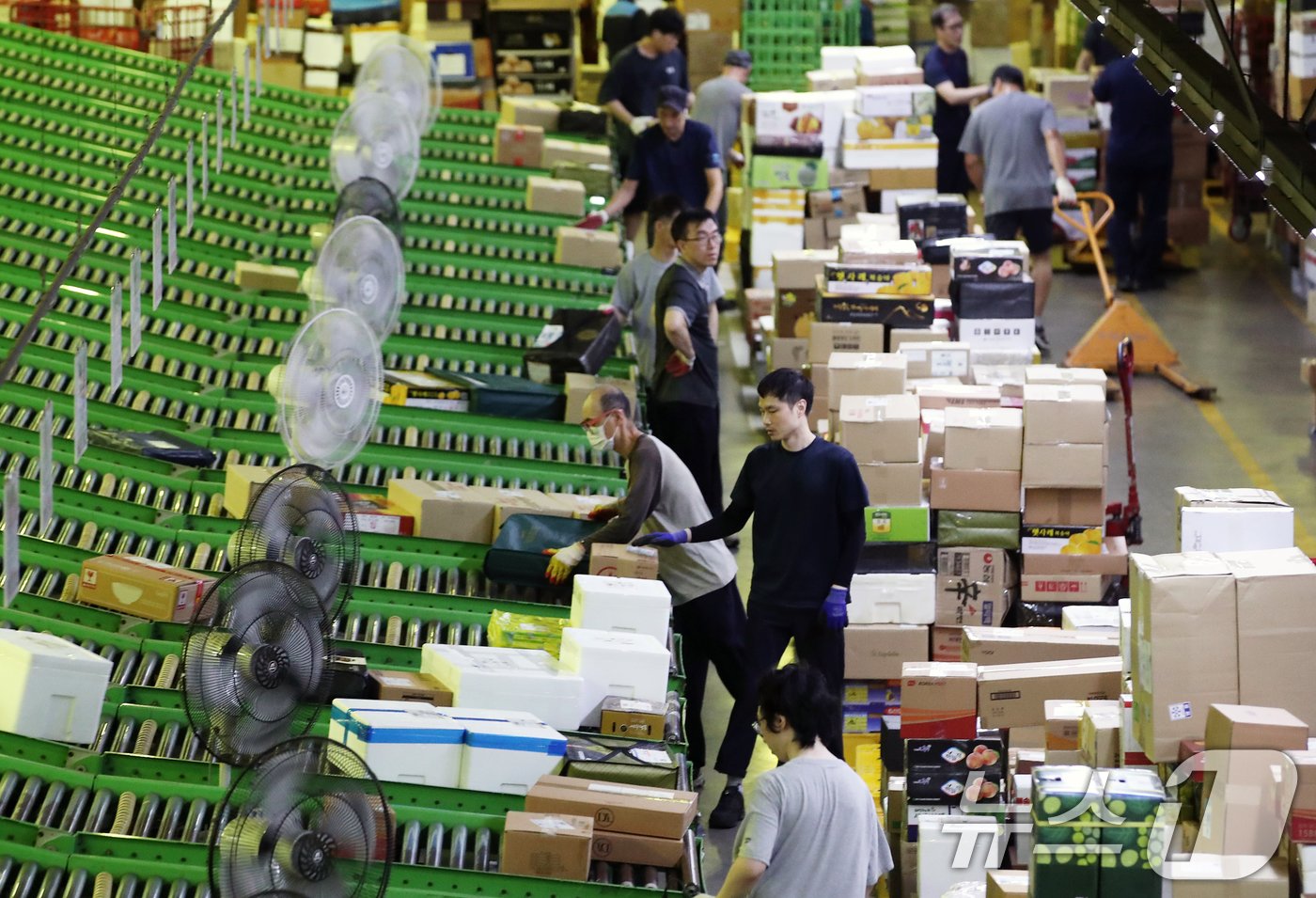 본문 이미지 - 추석 명절을 앞둔 10일 오전 서울 광진구 동서울우편물류센터에서 직원들이 택배 분류 작업으로 구슬땀을 흘리고 있다. 2024.9.10/뉴스1 ⓒ News1 오대일 기자
