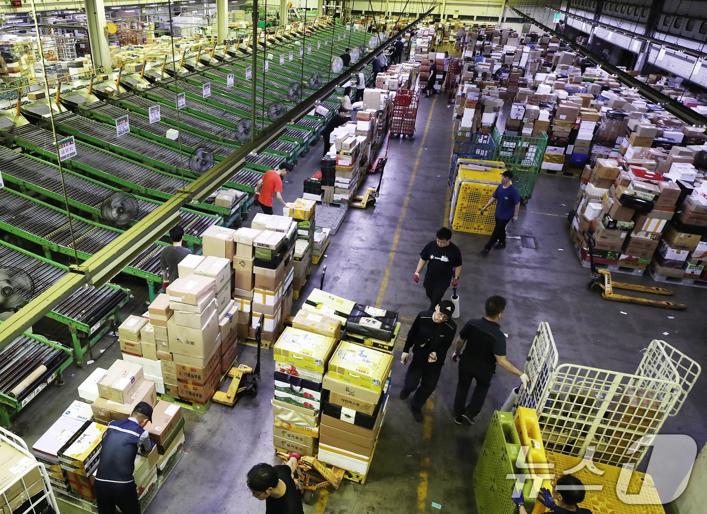 본문 이미지 - 서울 광진구 동서울우편물류센터에서 직원들이 택배 분류 작업으로 구슬땀을 흘리고 있다. 2024.9.10/뉴스1 ⓒ News1 오대일 기자