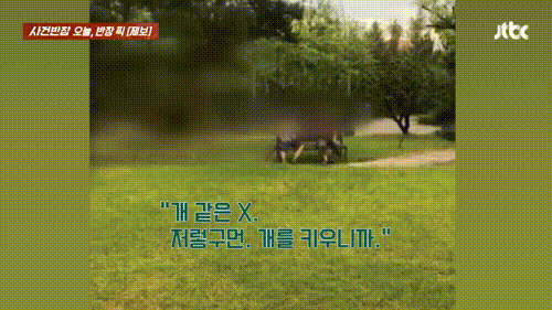 본문 이미지 - (JTBC '사건반장' 갈무리)