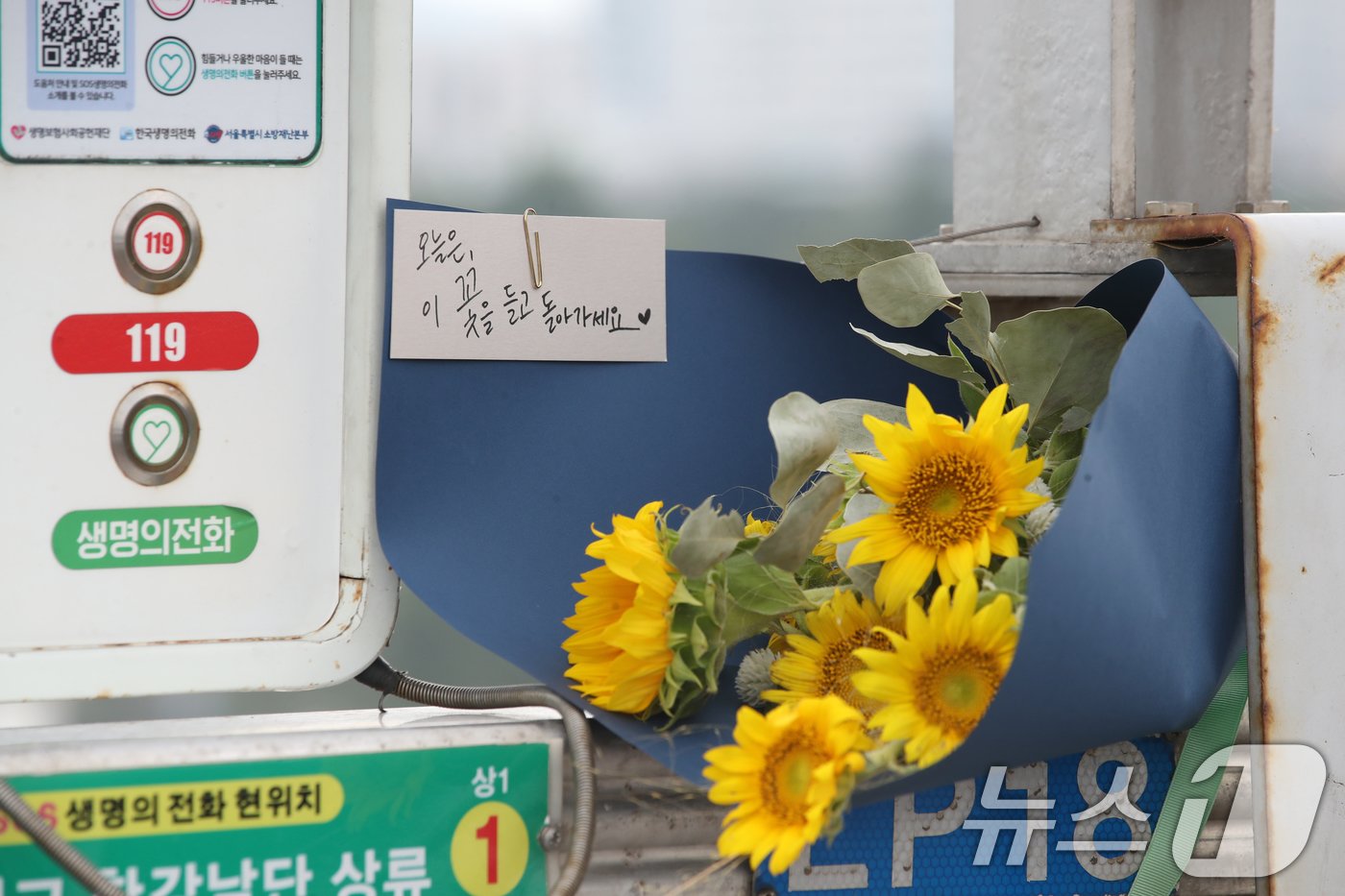 본문 이미지 - 서울 마포대교에 설치된 생명의 전화 옆에 꽃다발이 놓여져 있다. 2024.9.10/뉴스1 ⓒ News1 이승배 기자