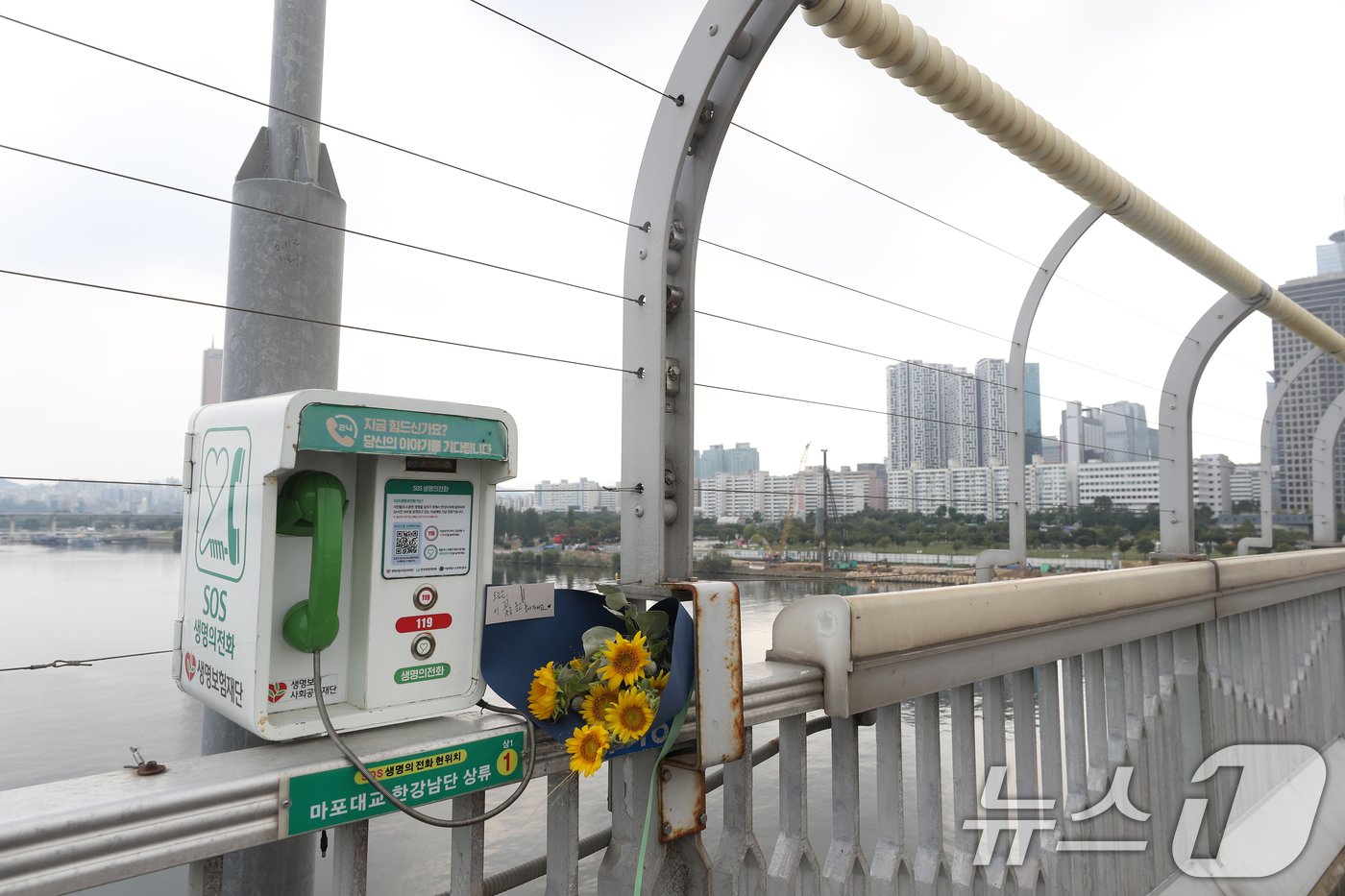 본문 이미지 - 세계 자살 예방의 날인 10일 오후 서울 마포대교에 설치된 생명의 전화 옆에 꽃다발이 놓여져 있다. 2024.9.10/뉴스1 ⓒ News1 이승배 기자
