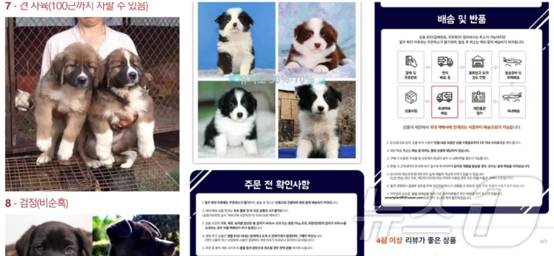 본문 이미지 - 쿠팡에 올라온 강아지 판매글(독자 제공) ⓒ 뉴스1