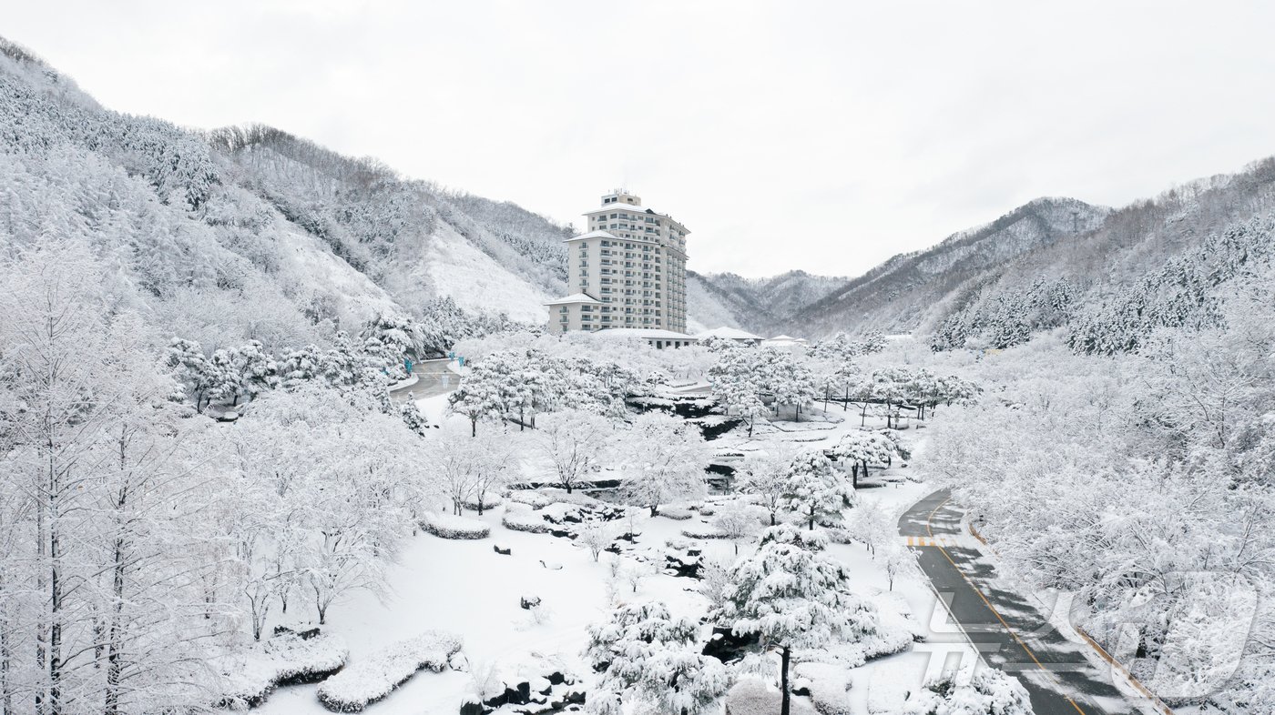 본문 이미지 - 엘리시안 강촌 스키장./뉴스1
