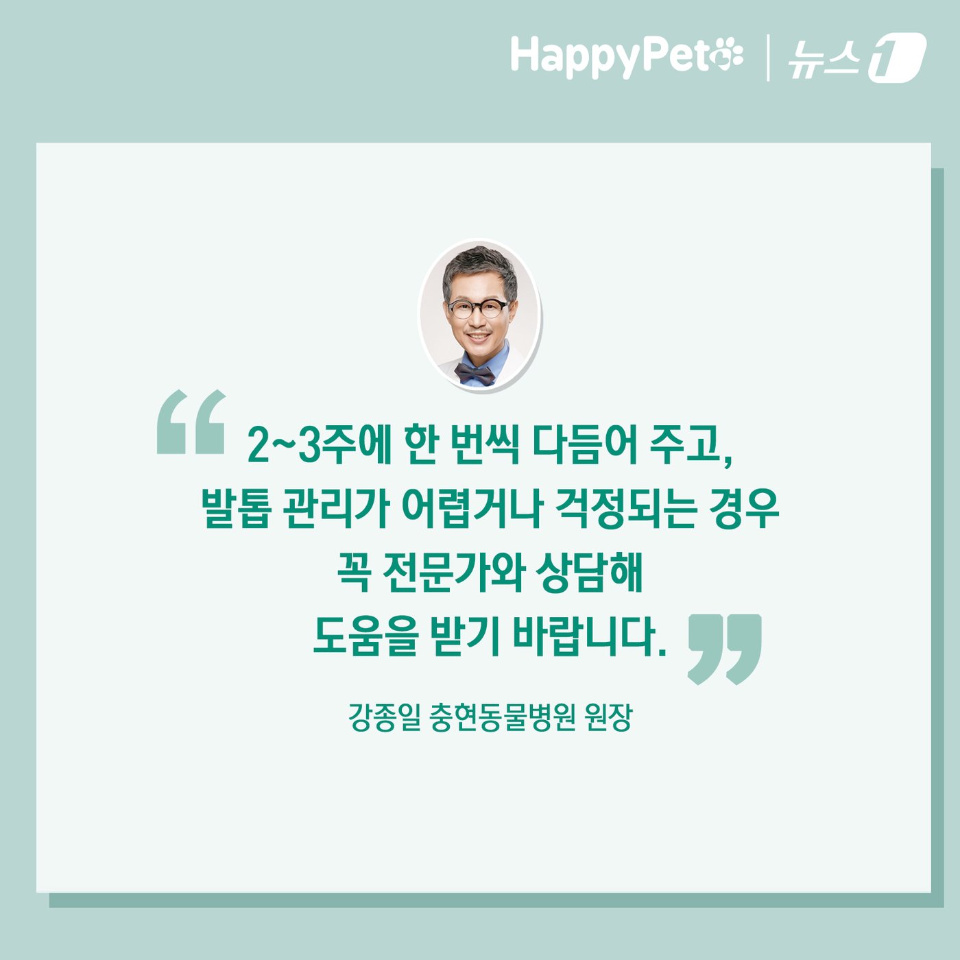 본문 이미지 - 반려견의 긴 발톱 방치하면 벌어지는 일 ⓒ News1 김초희 디자이너