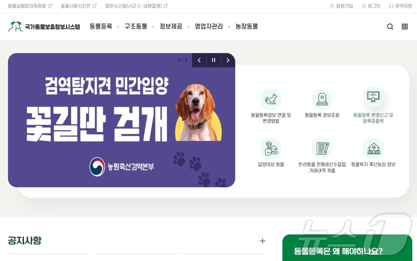 본문 이미지 - 농림축산식품부 국가동물보호정보시스템 누리집 ⓒ 뉴스1