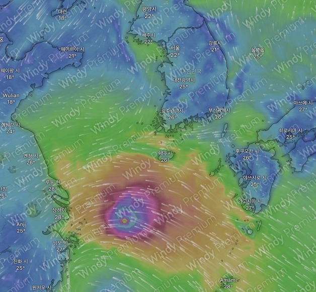 많이 본 뉴스