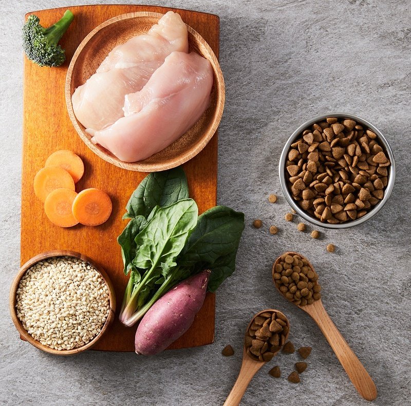 본문 이미지 - 왕태미 수의사에 따르면 생고기 원료가 육분보다 더 비싸지만, 영양과 소화 면에서 봤을 때 큰 차이가 없다. (사진 이미지투데이) ⓒ 뉴스1