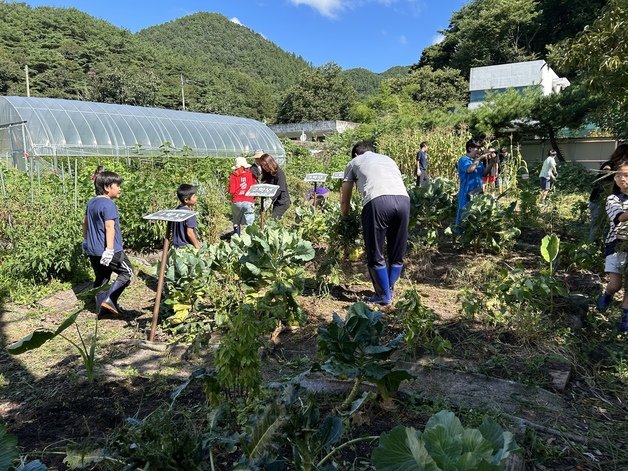 괴산온마을배움터 학교-마을 협력수업.&#40;괴산증평교육지원청 제공&#41;/뉴스1