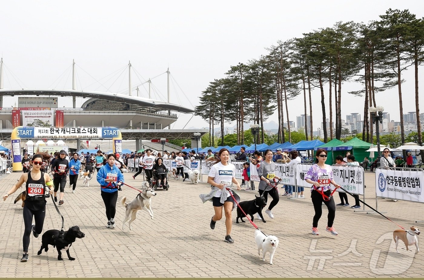 한국 캐니크로스 대회&#40;대한독스포츠연맹 제공&#41; ⓒ 뉴스1