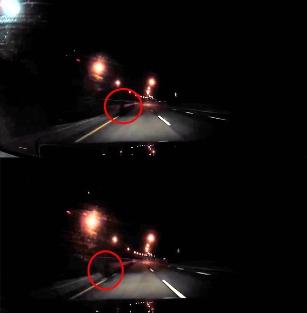 본문 이미지 - (보배드림 갈무리)