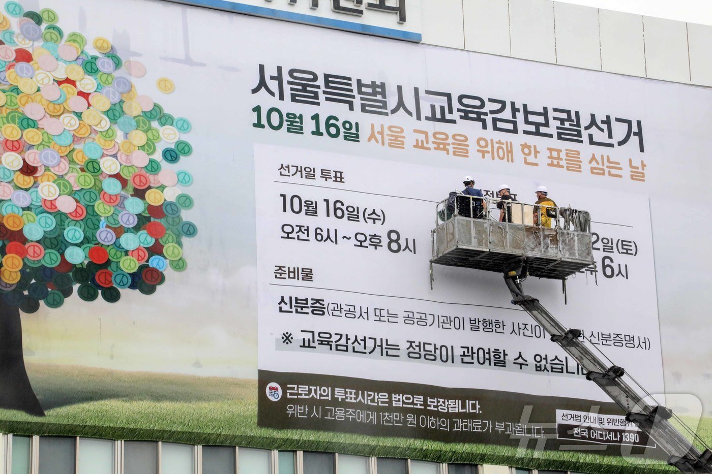 본문 이미지 - 12일 오전 서울 종로구 서울시선거관리위원회 외벽에 작업자들이 서울시교육감 보궐선거 현수막을 게시하고 있다. 2024.9.12/뉴스1 ⓒ News1 유수연 기자