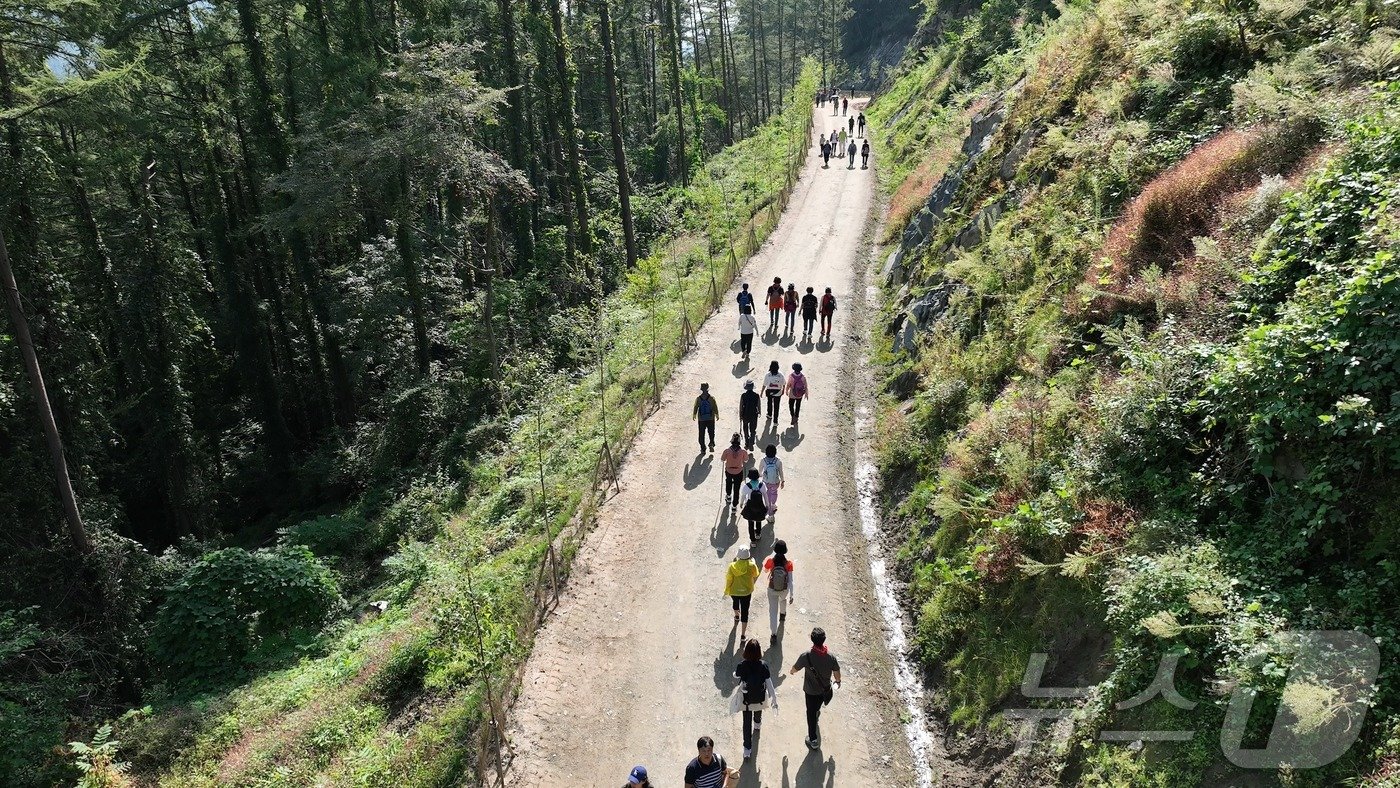 본문 이미지 -  충주 계명산 임도 트레킹 모습.(충주시 제공)/뉴스1