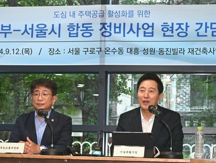 오세훈 "정부 대출 규제 바람직…신고가 지역 특단의 대책"