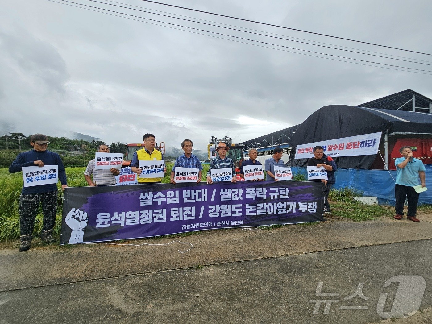 12일 강원 춘천시 신북읍 유포리의 한 논에서 전국농민회총연맹 강원도연맹과 춘천농민회가 쌀값 보장과 쌀 수입 반대를 촉구 논 갈아엎기 투쟁을 벌이고 있다.&#40;전국농민회총연맹 강원도연맹 제공&#41; 2024.9.12/뉴스1