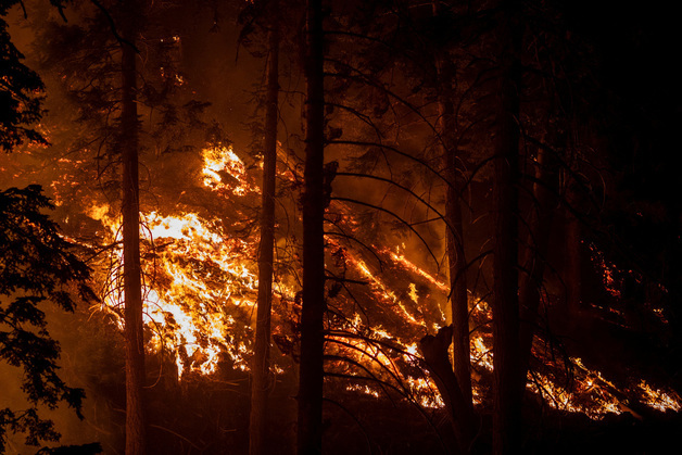 [포토] 걷잡을 수 없는 불길