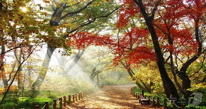 본문 이미지 - 함양 상림공원.(경남도 제공)