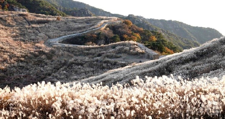 창녕 화왕산.&#40;경남도 제공&#41;