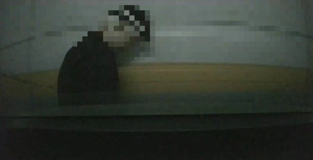 본문 이미지 - (보배드림 갈무리)